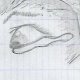 Dessin n°2