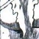 Dessin n°1