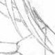 Dessin n°3