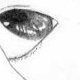 Dessin n°5
