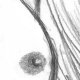 Dessin n°7